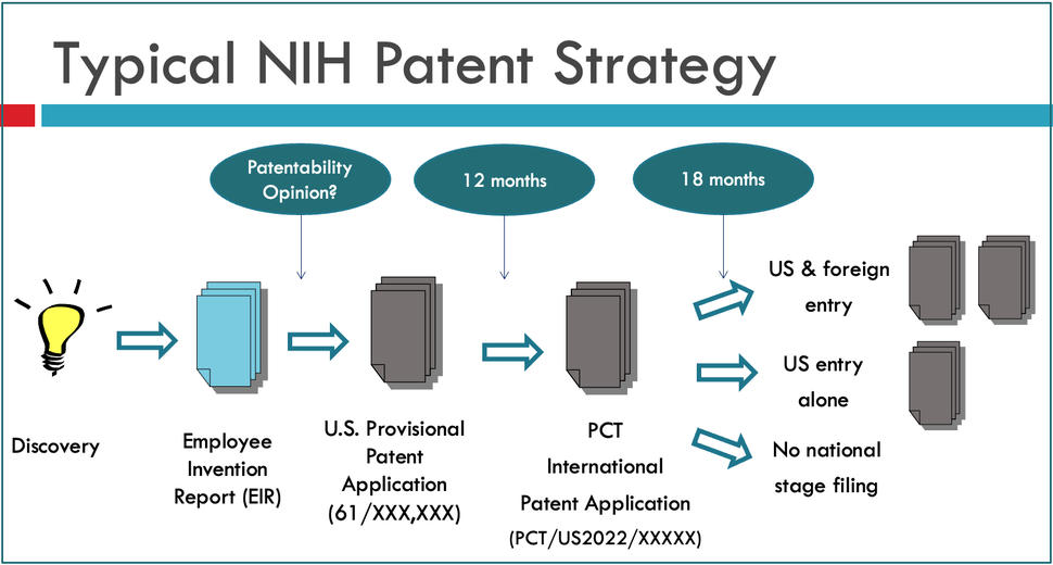 Typical NIH Patent Strategy